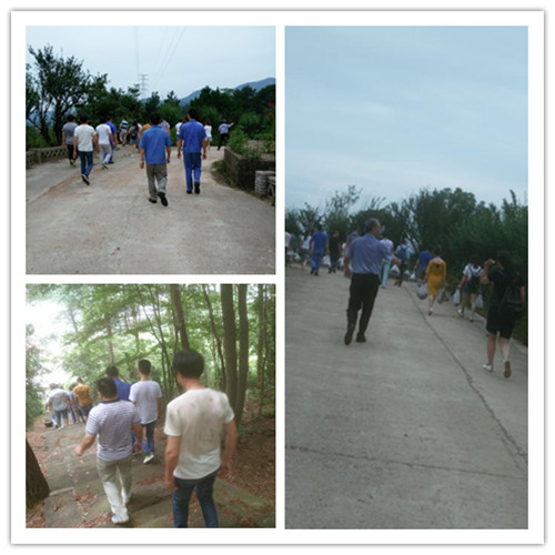 仙鶴股份有限公司官方網站 仙鶴股份有限公司官方網站